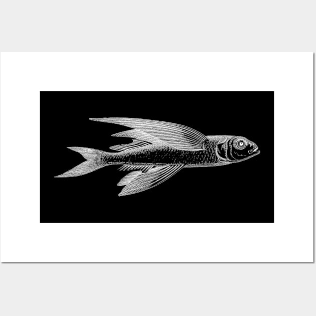 One Flying Fish Wall Art by Modnay